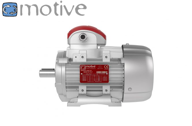 Motoren für Umgebungstemperaturen bis 100°C Serie Delfire